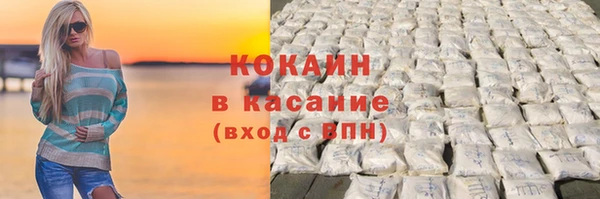 гашик Арсеньев