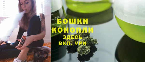 гашик Арсеньев