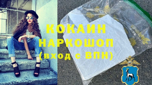 гашик Арсеньев