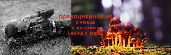 гашик Арсеньев