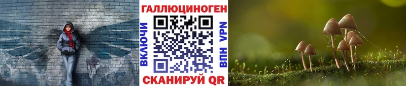 Купить  Медынь  Псилоцибиновые грибы Magic Shrooms 